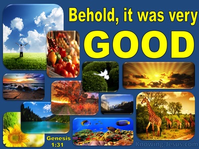 Genesis 1:31 God Saw All That He Made And It Was Very Good (yellow)